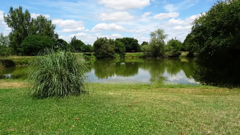 HLO49-la-bregellerie-2