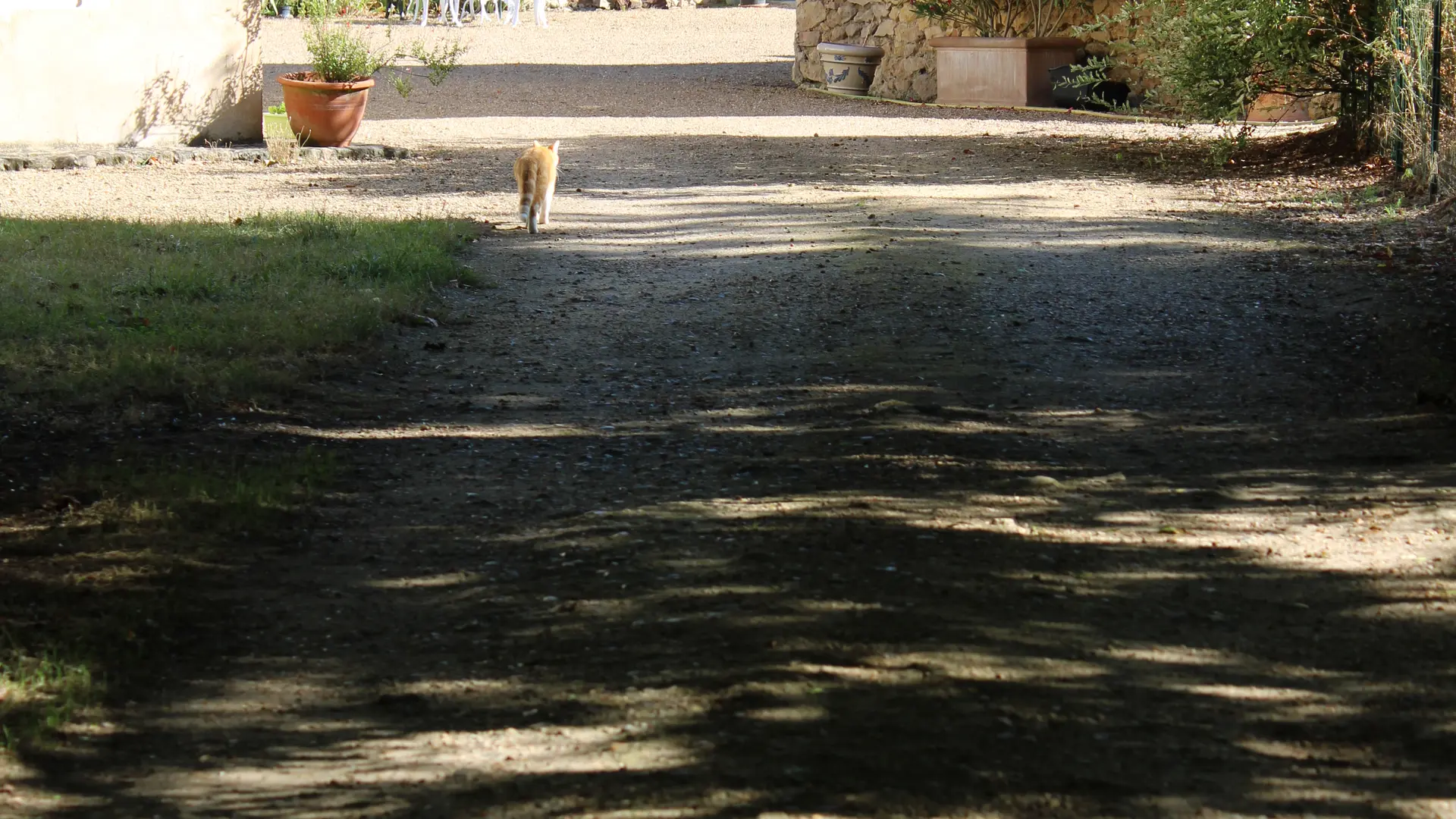 Gîte la Cure des Courbes_La Flèche