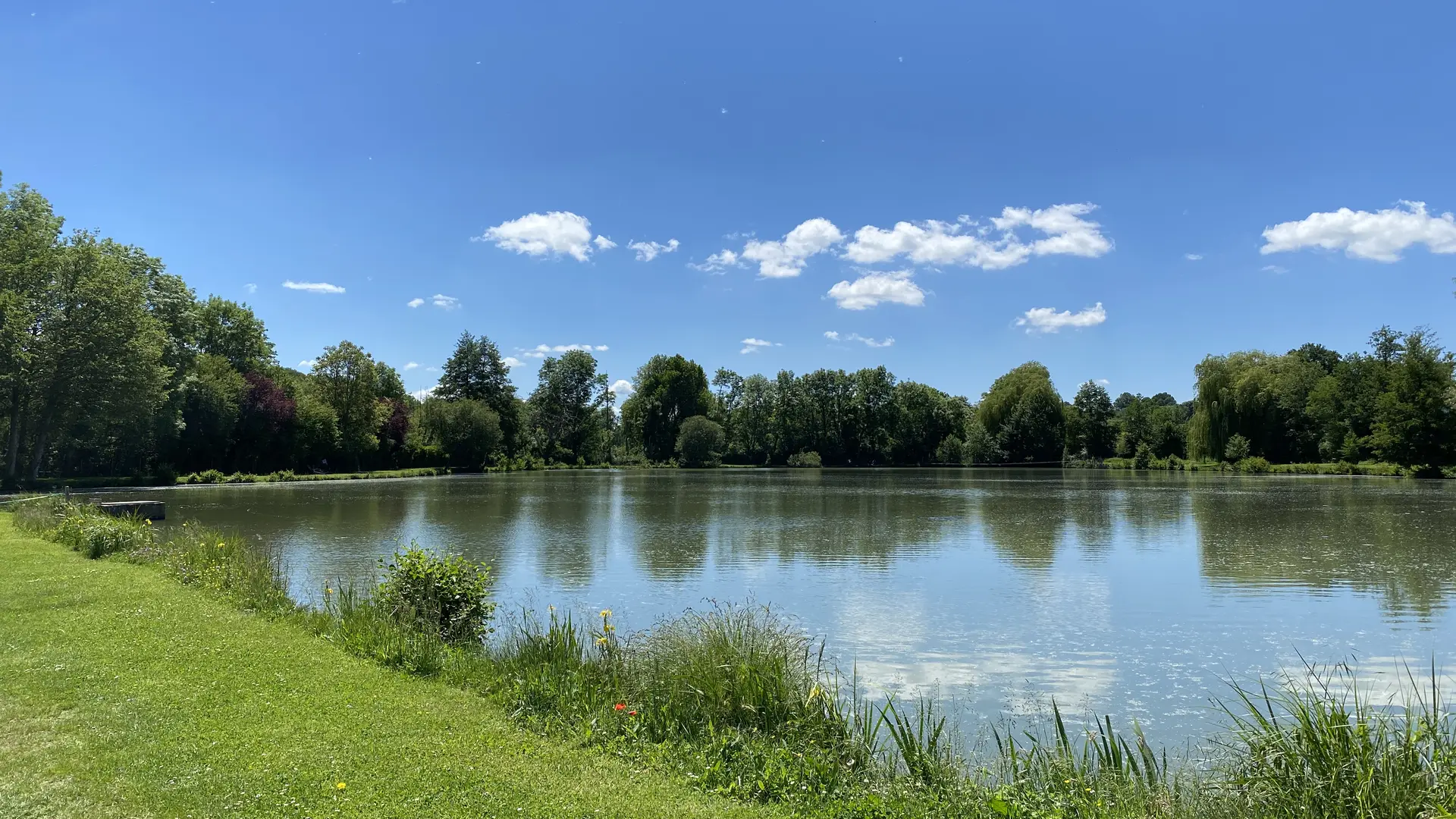 Étang de la Pêcherie - Vernie