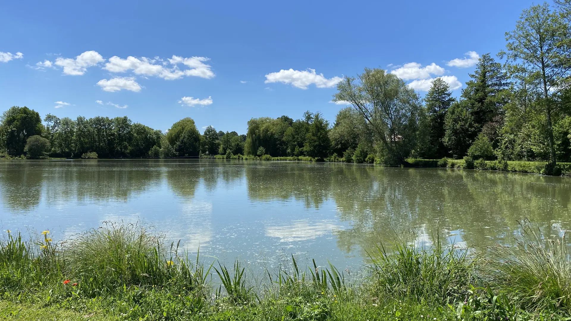 Étang de la Pêcherie - Vernie