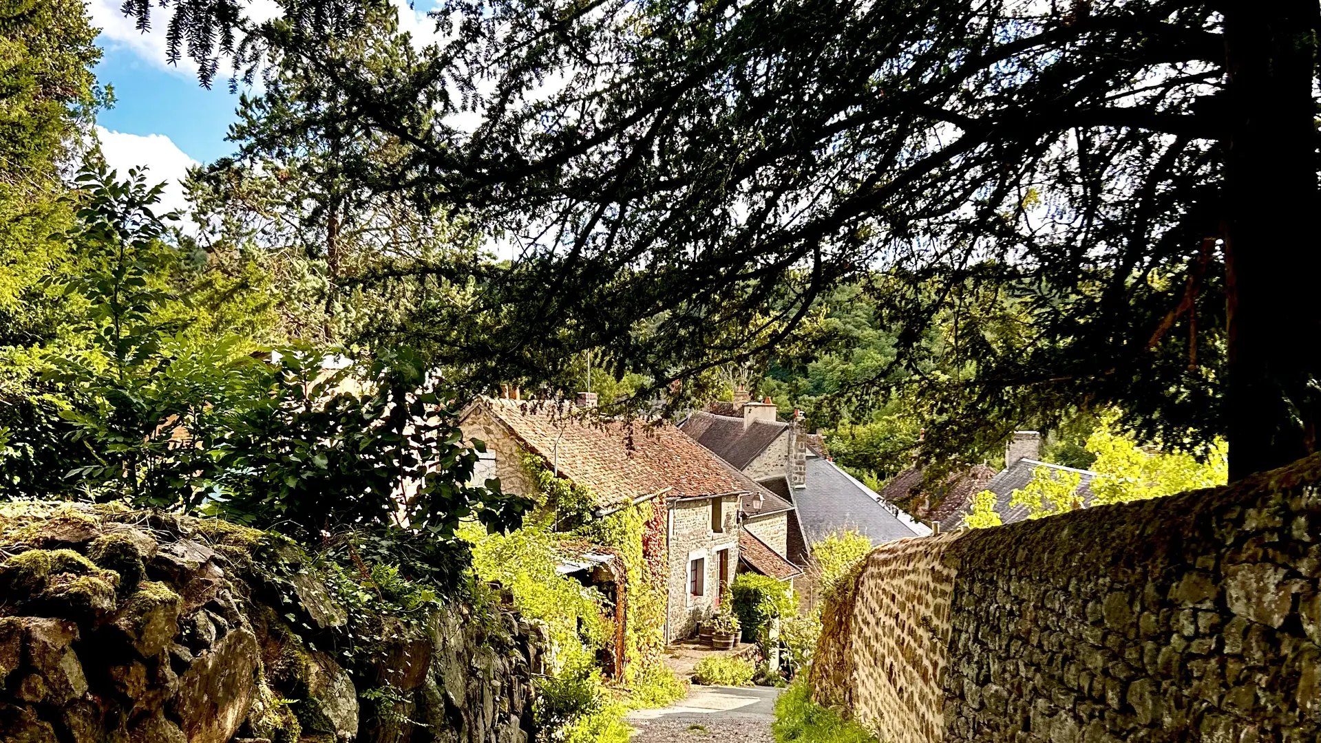 Gîte La Cassine - Moulins-le-Carbonnel - village