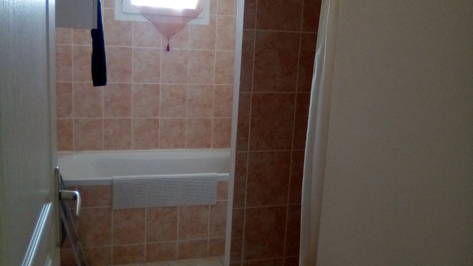 Salle de bain (baignoire+douche)