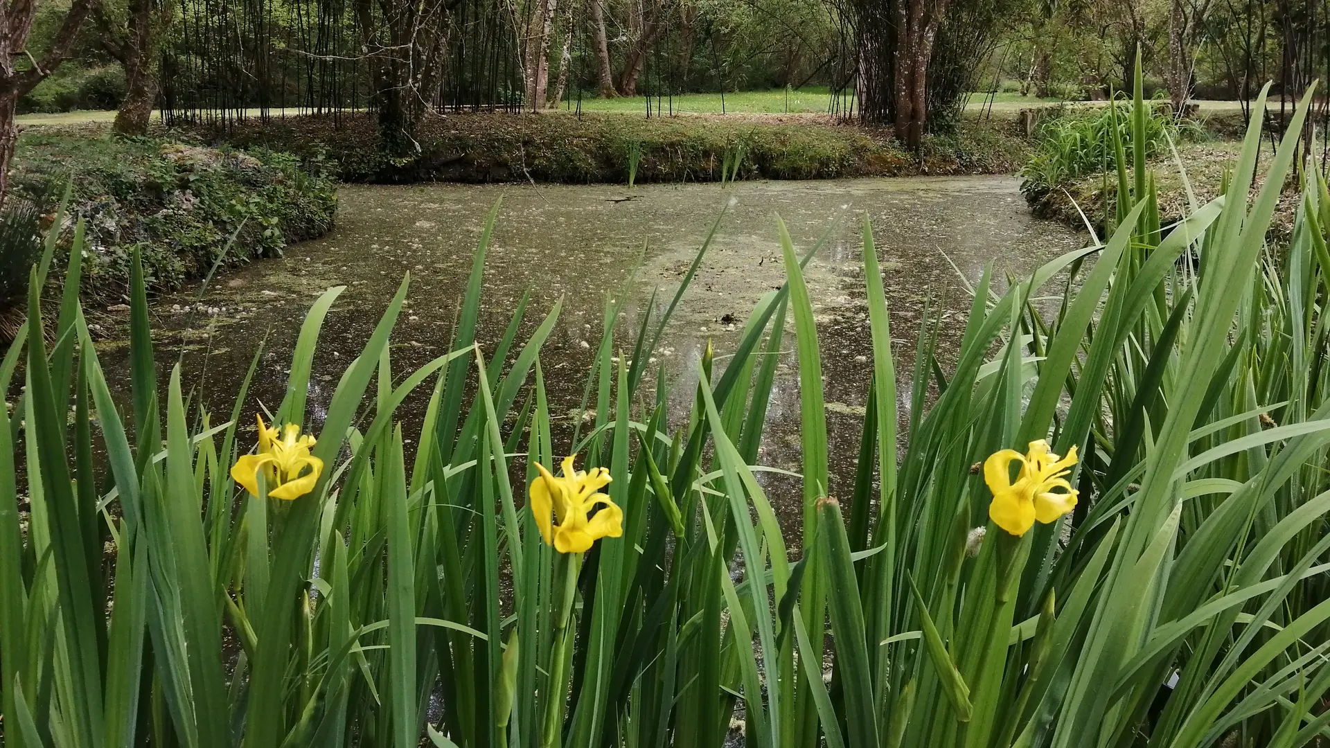 Gîte Pic Epeiche_Mouliln de la Diversière_Savigné sous le Lude