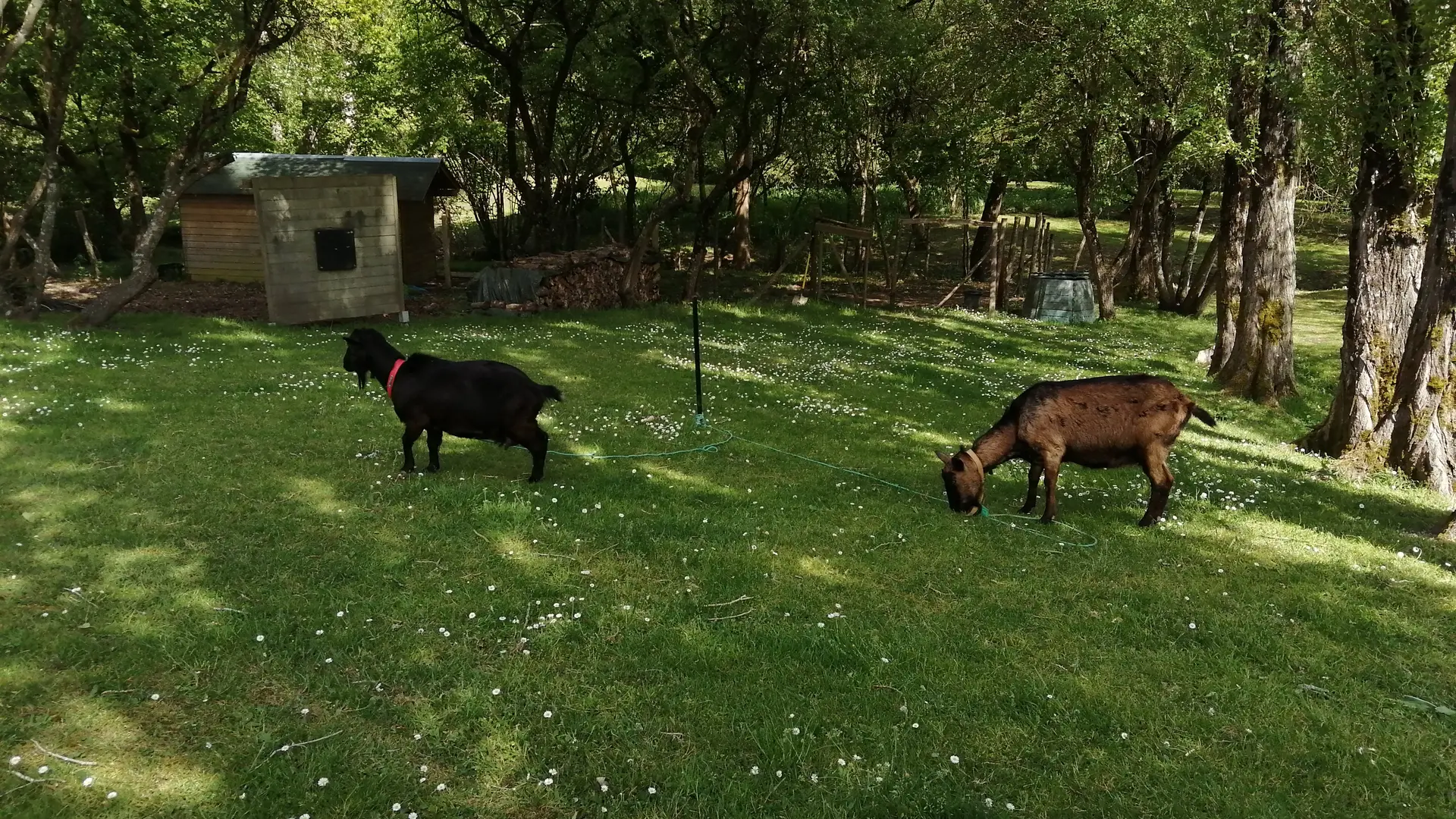Gîte Pic Epeiche_Mouliln de la Diversière_Savigné sous le Lude