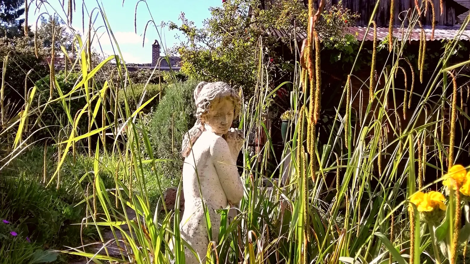 Jardin romantique et aromatique