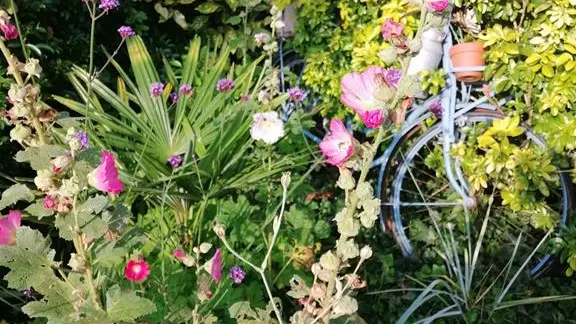 Jardinet brocante et jardin ornemental