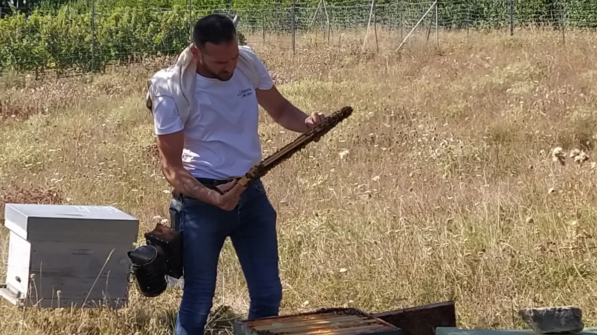 Pascal Foucher, apiculteur et propriétaire du Musée de l'Abeille