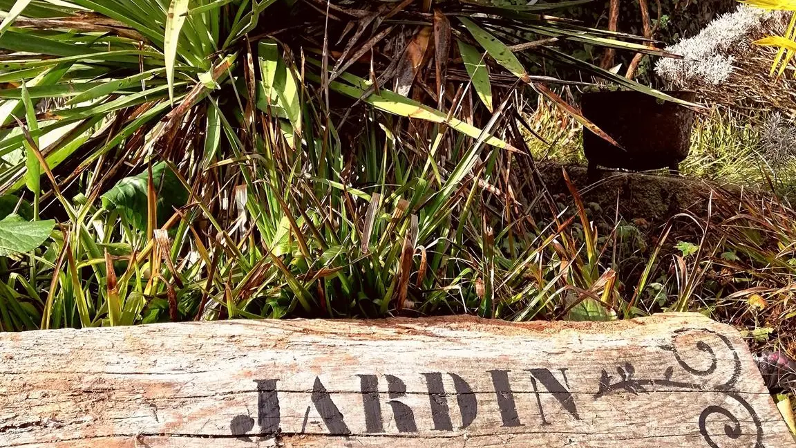 Les Clos Sur Loir Cottage - Gîte Jardin Yuccas