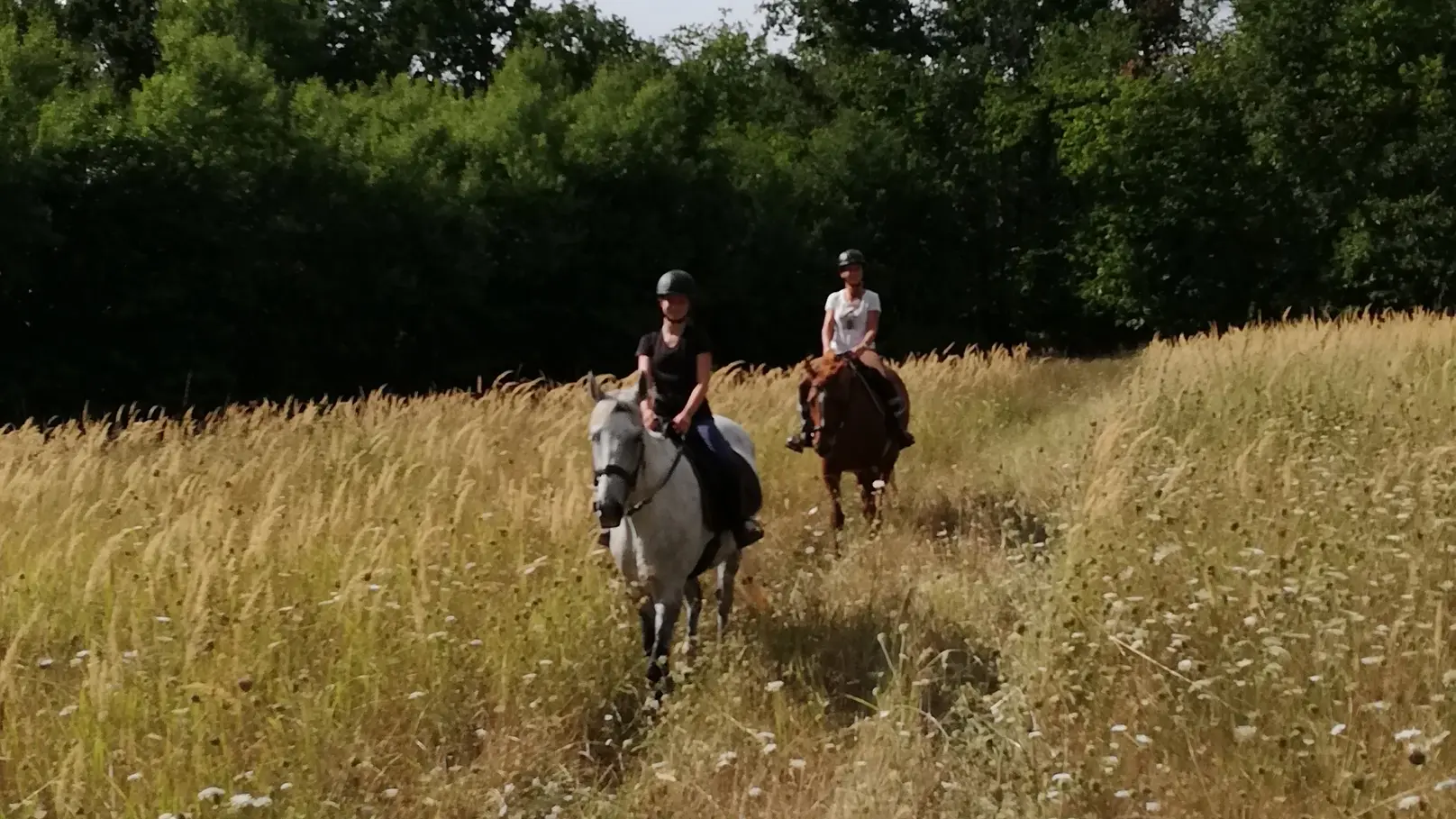 Chevauchée en pleine nature