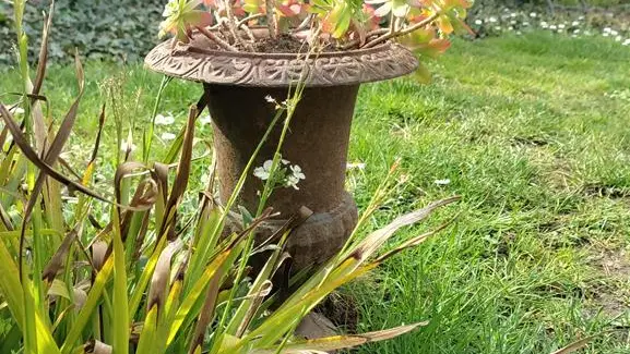 Dans le jardin Renard