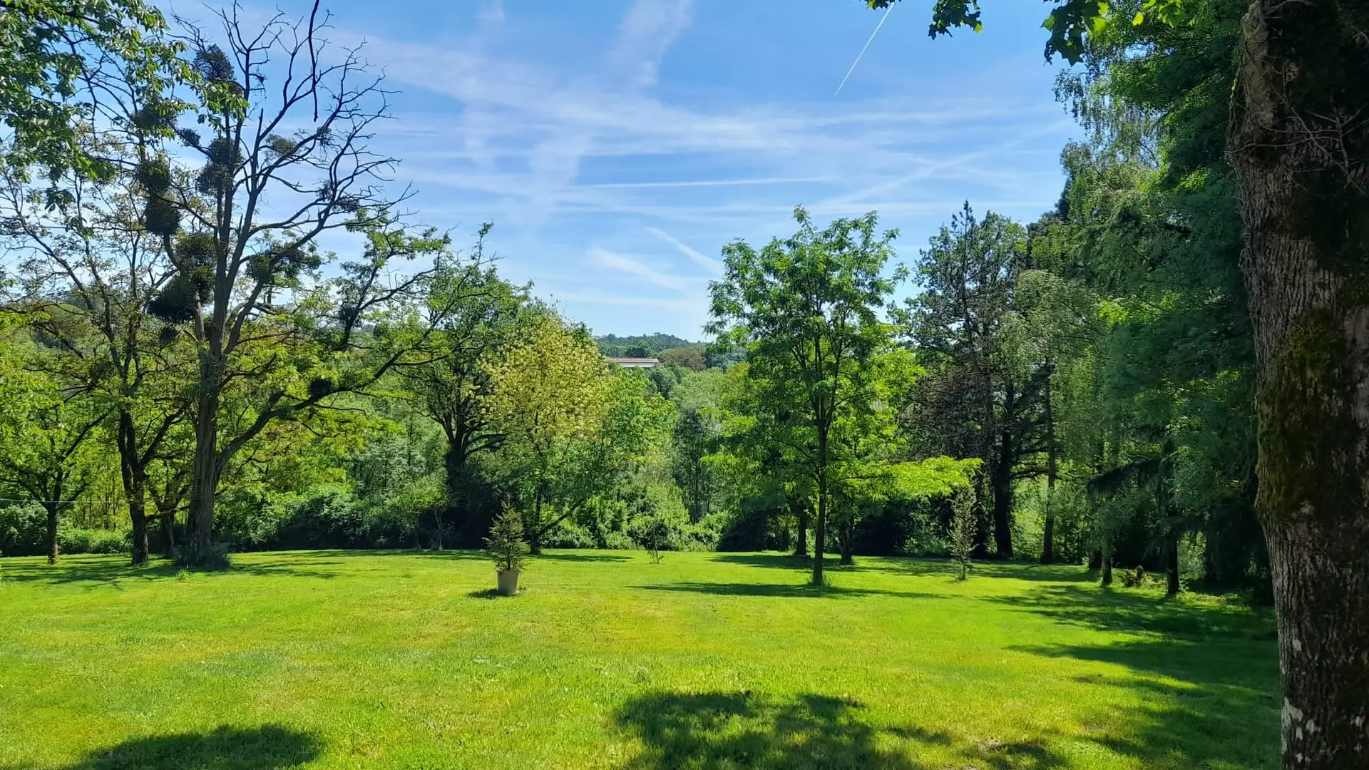 Toit sous les étoiles Coin barbecue vue parc