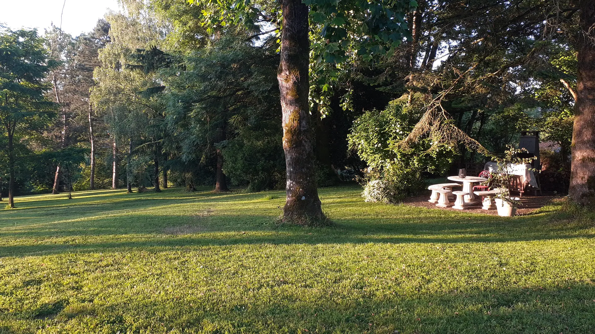 Toit sous les étoiles Coin barbecue