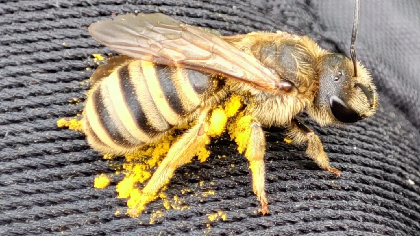 Une de nos auxiliaires