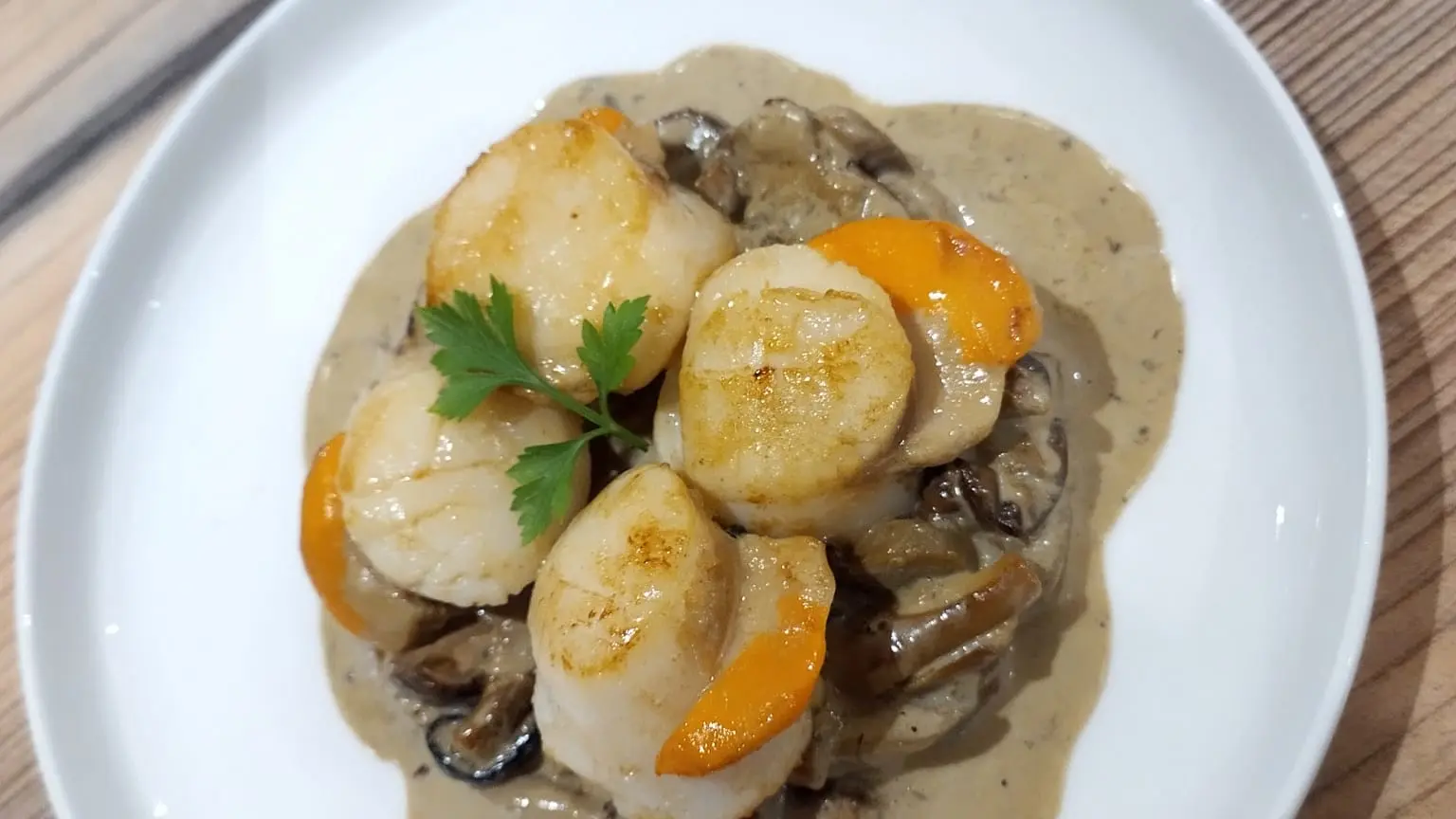 Saint Jacques aux cèpes de la forêt de Mervent