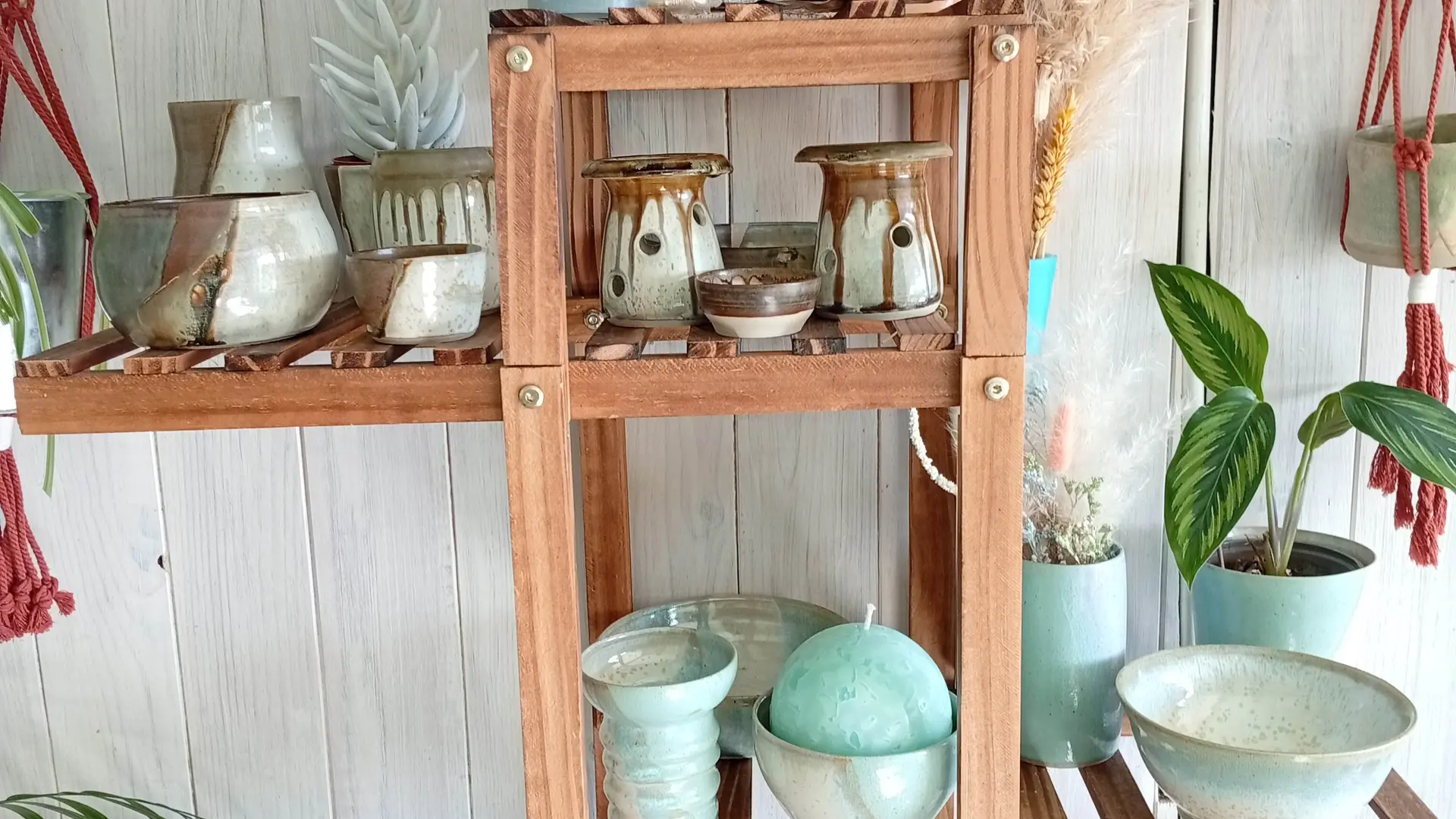 Collection L'Univers des Plantes - Mars 2026