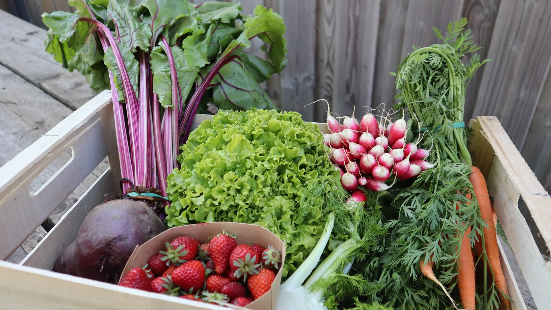 Fruits & légumes bio de la ferme Entre Chèvres & Choux