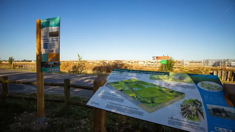 pique-niquer en milieu naturel-Vendee