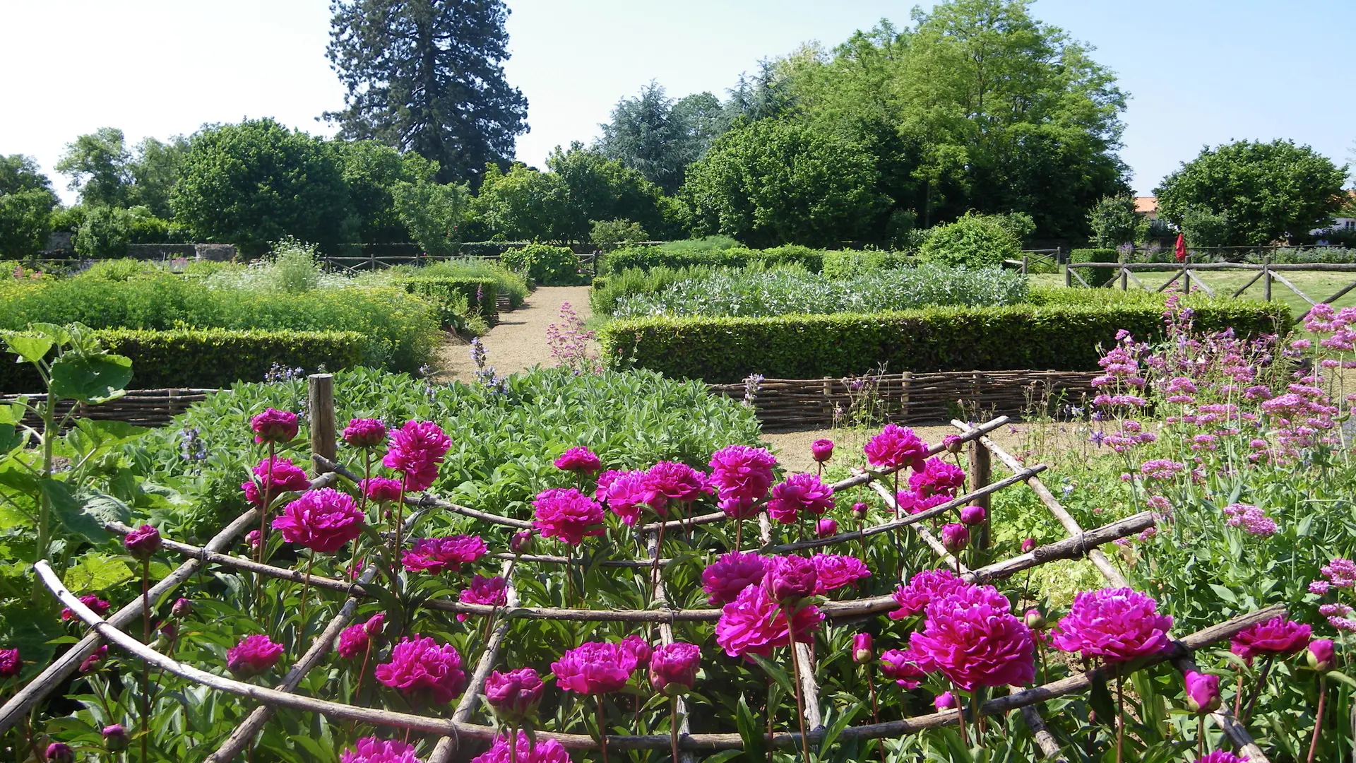 jardin médiéval - Bazoges en Pareds - 85 - PCU