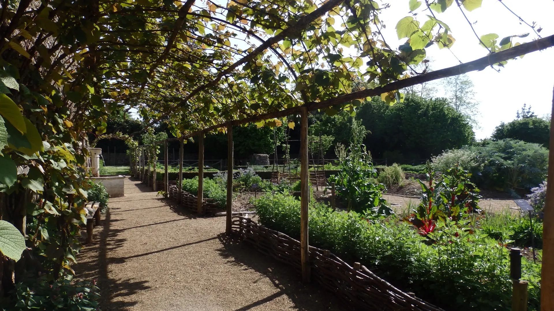 Jardin d'inspiration médiévale Bazoges-en-Pareds