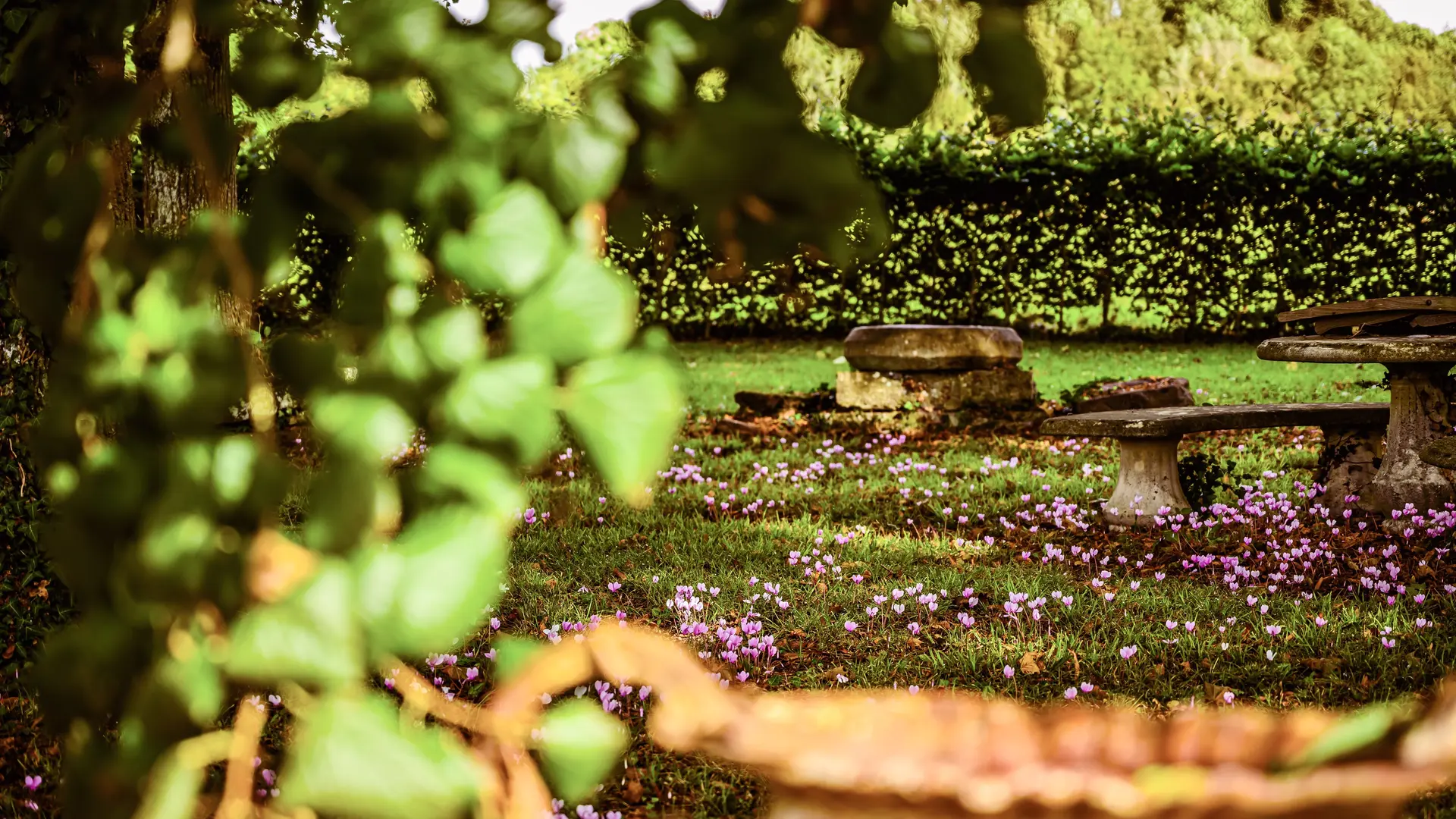 Jardin et Extérieurs