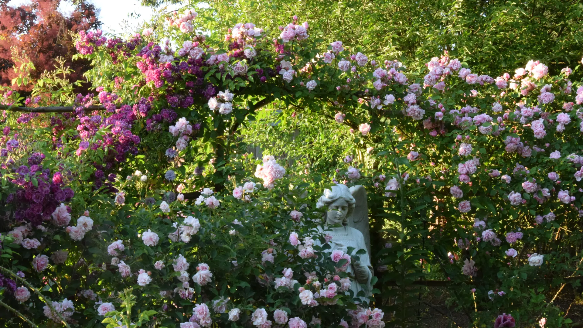 Jardins de la Mansonière 2021 (3)