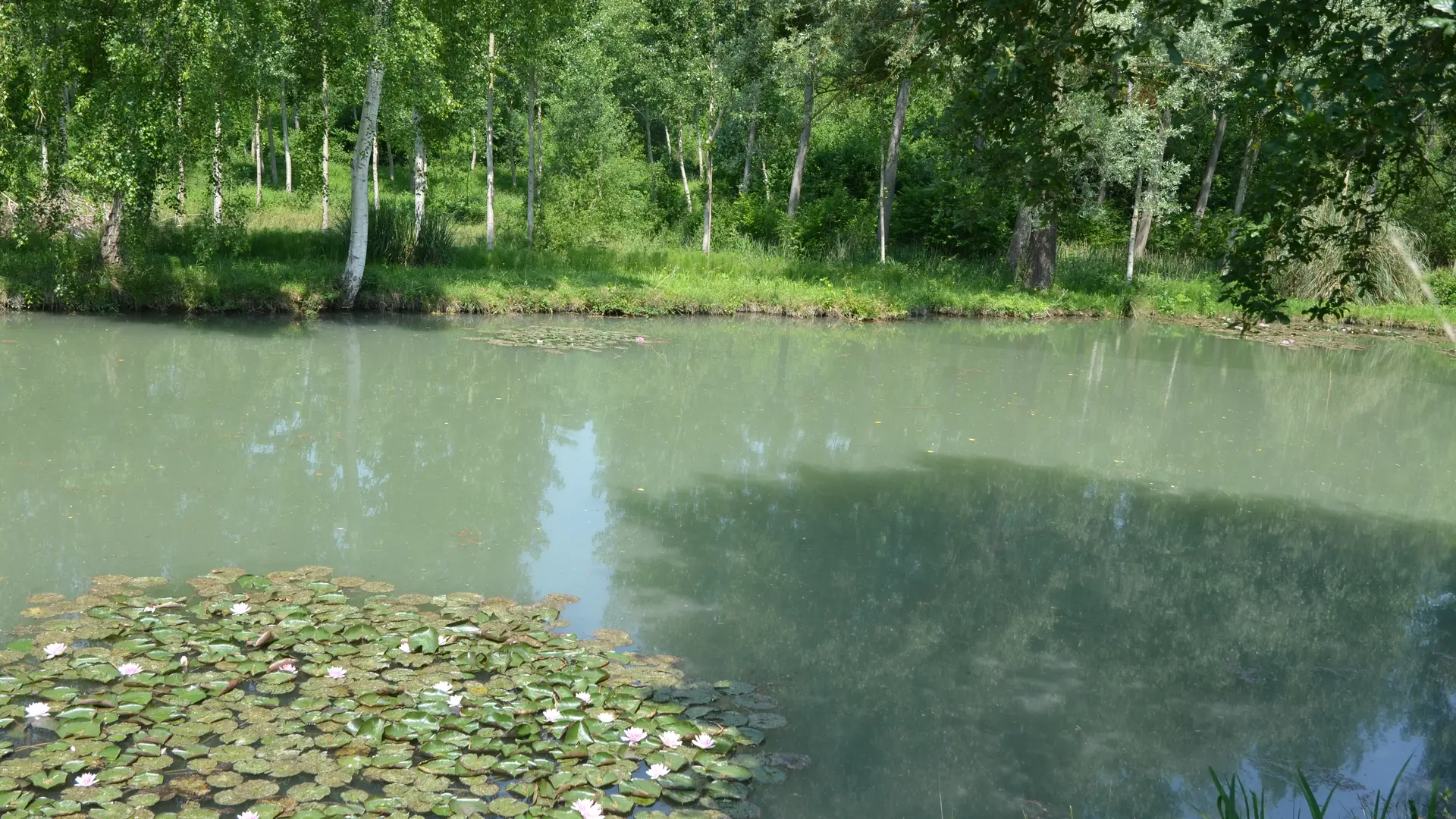 La Ferme de La Barillerie 077