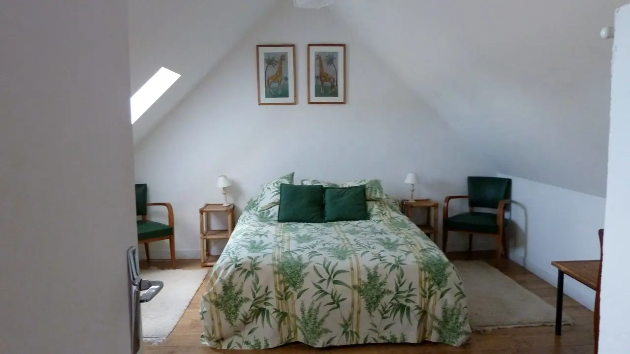 La pinière_Chemillé sur dême(3)