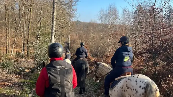 Le Cottage - Ancinnes - balade à cheval en Forêt de Perseigne