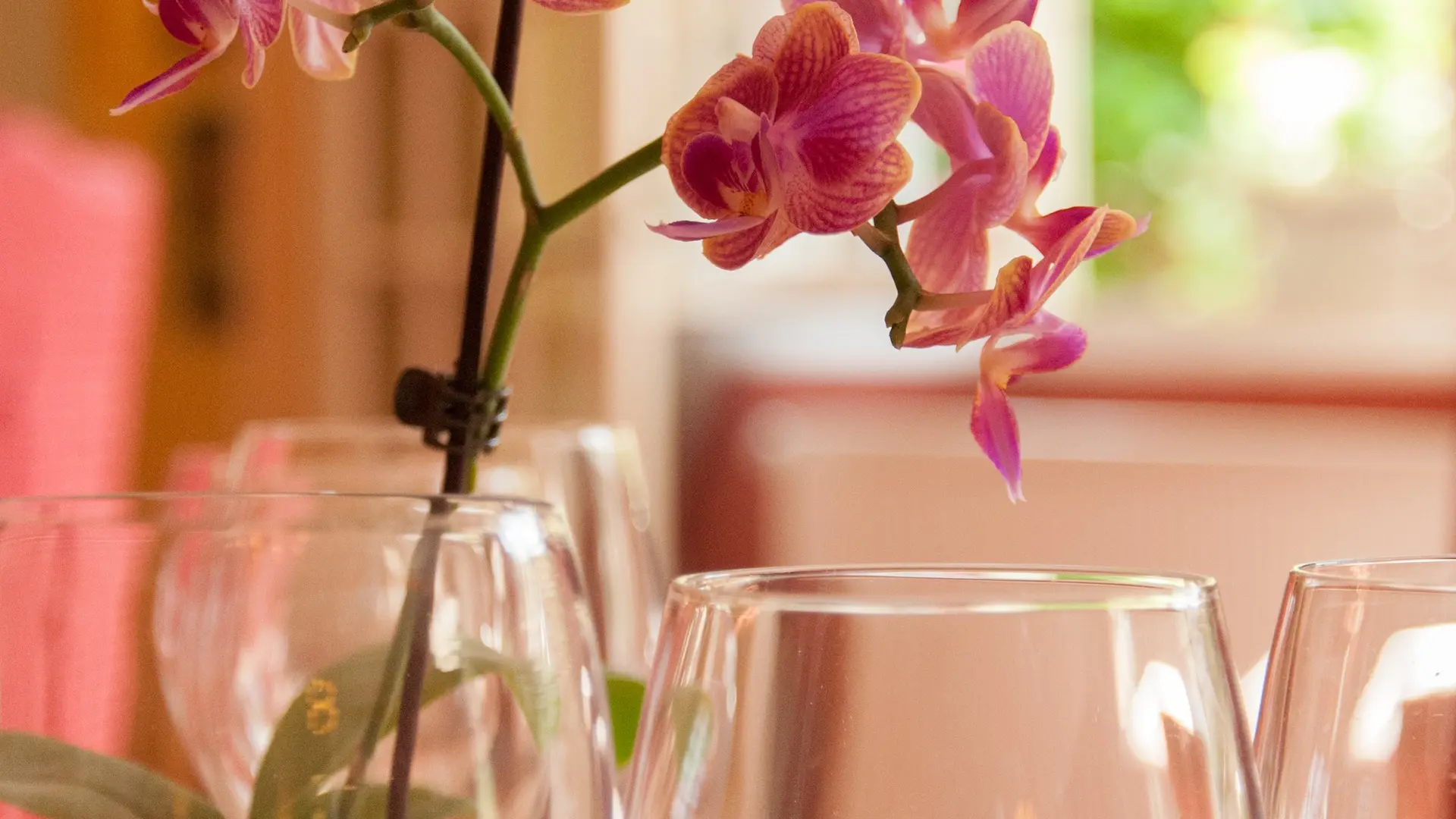 Le port des roches_luché pringé_2013©Stevan LIRA (3)