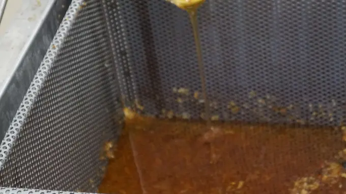 Les Ruchers Belmontais_Beaumont_deg72 (5)