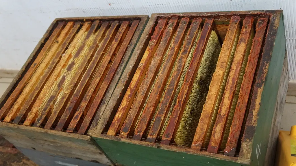 Les Ruchers Belmontais_Beaumont_deg72 (2)