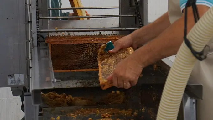 Les Ruchers Belmontais_Beaumont_deg72 (3)