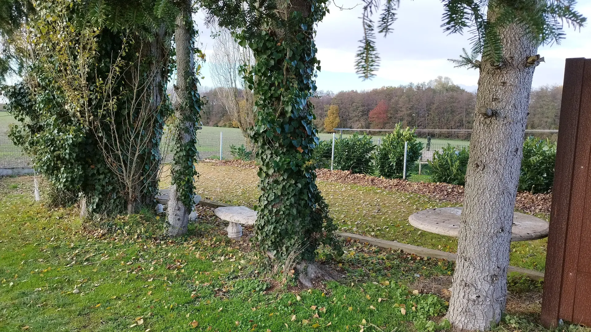 Les épis_Chemillé sur Dême (7)