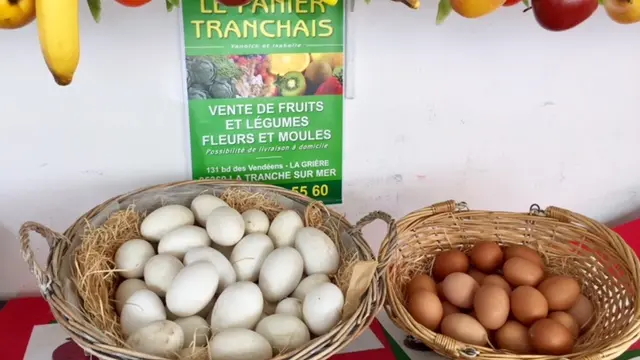 Les oeufs