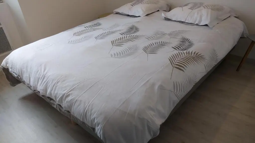 Maison Jean Moulin_La Flèche (8)