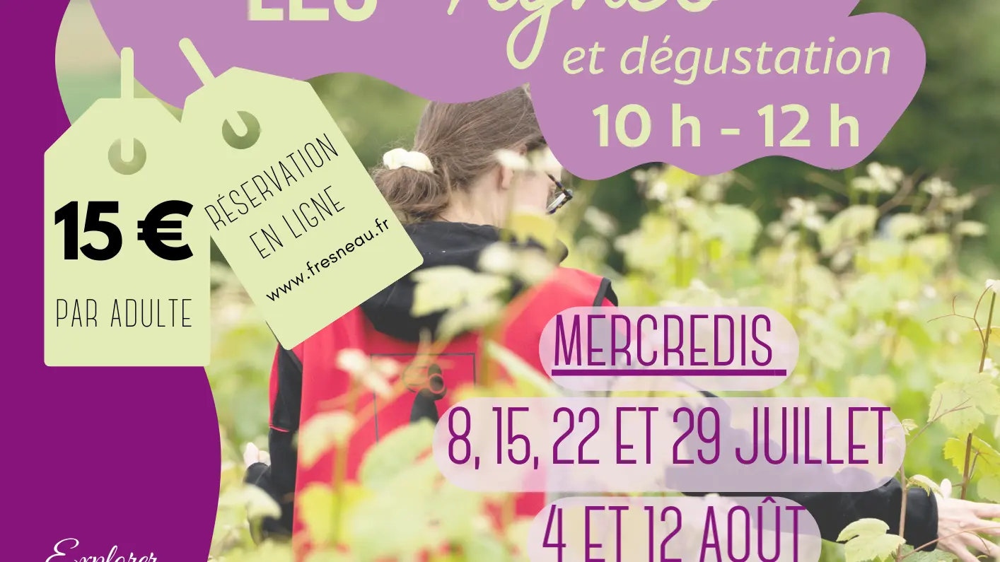 MATINEE DANS LES VIGNES - Matinée dans les vignes 2026 Juillet et Aout