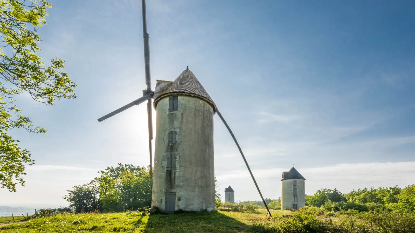 Mouilleron-Saint-Germain-4805