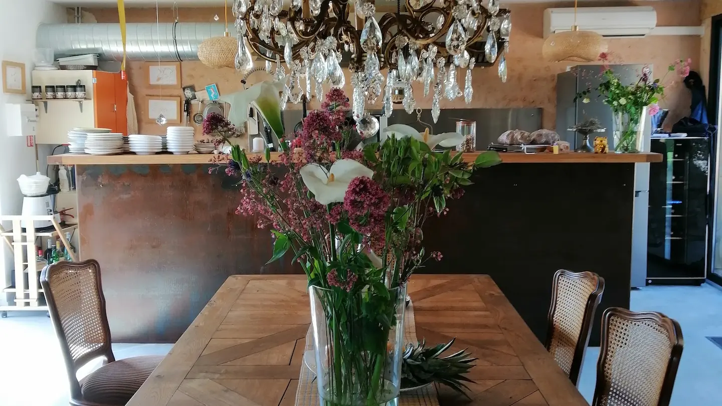 Ô Saule_Thoiré sur Dinan