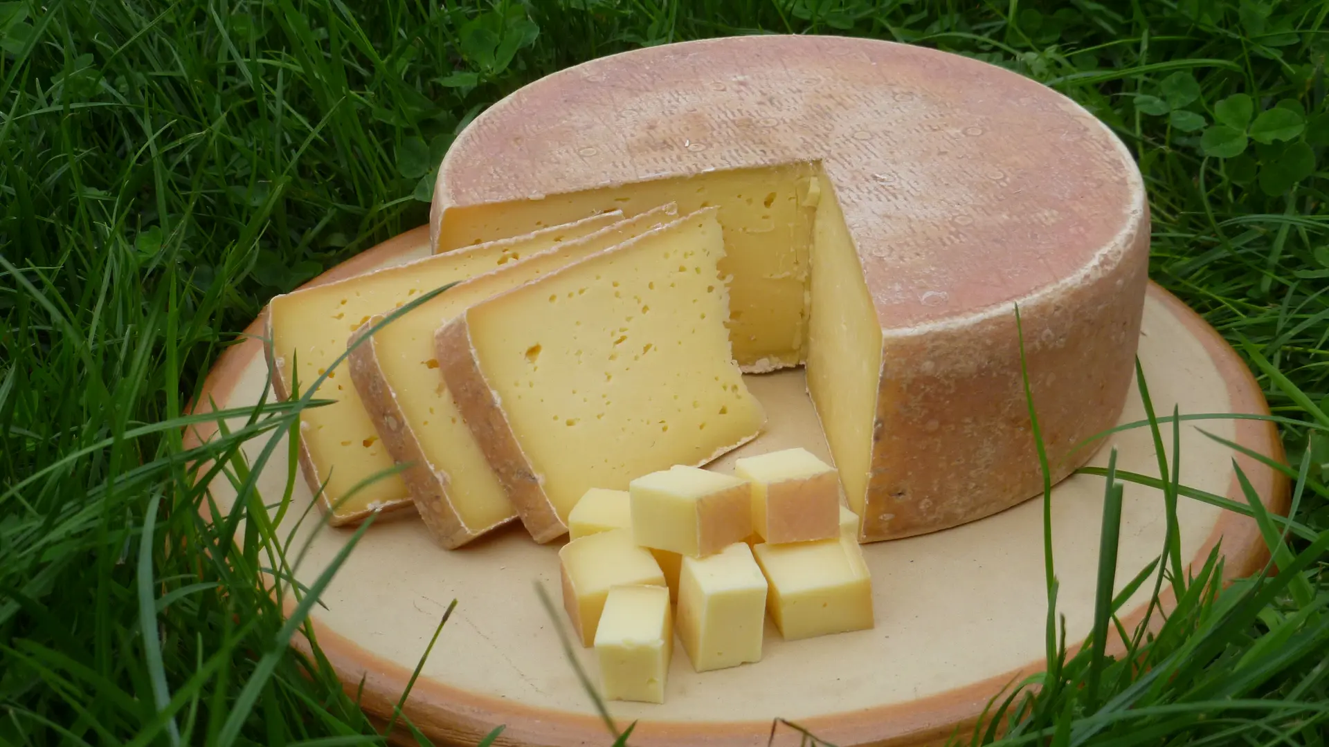 Le Refrain du Pis qui Chante