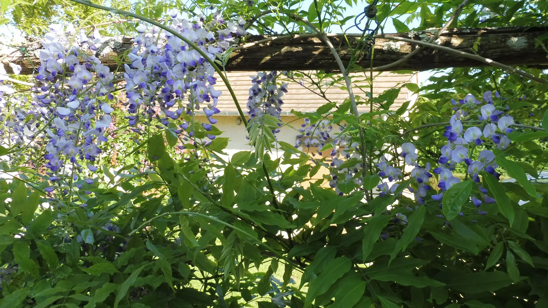 Coté jardin