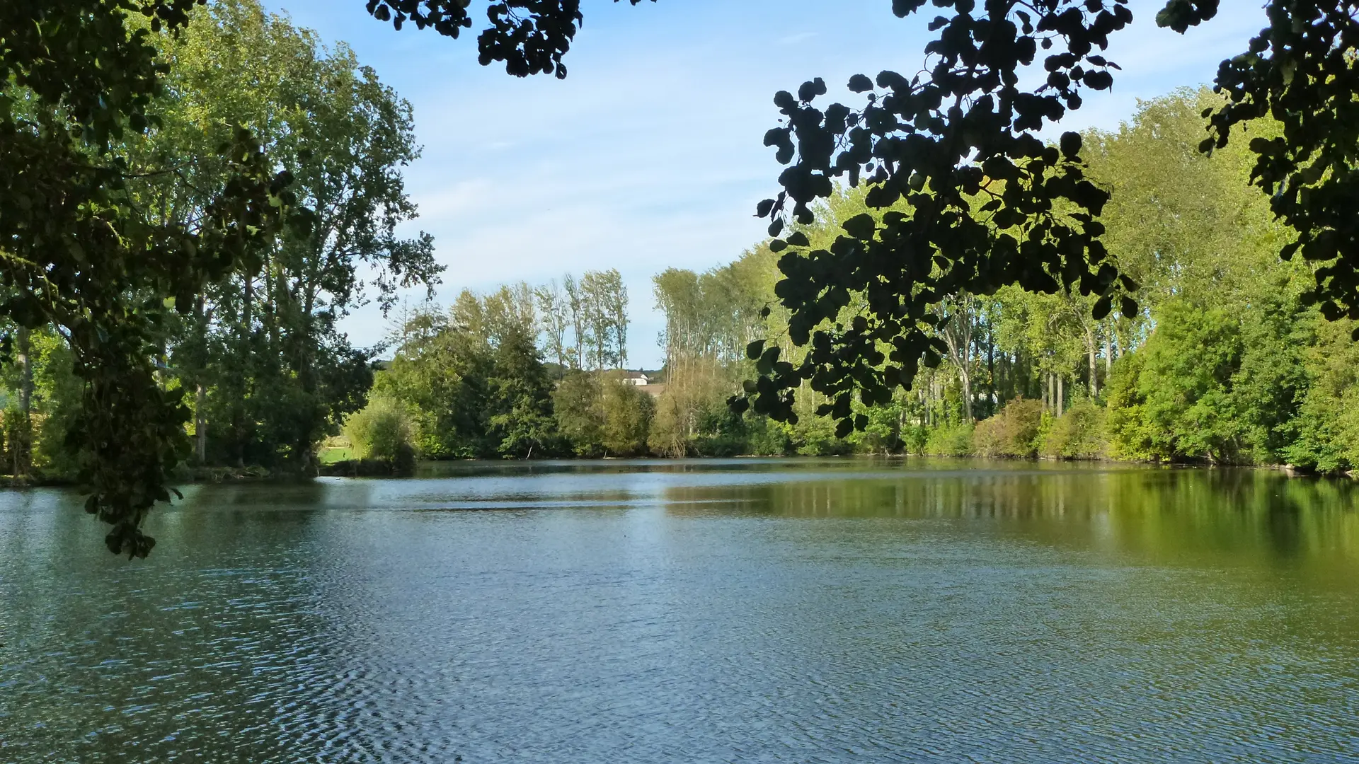 Meublé de Jupilles - Oisseau-le-Petit - étang