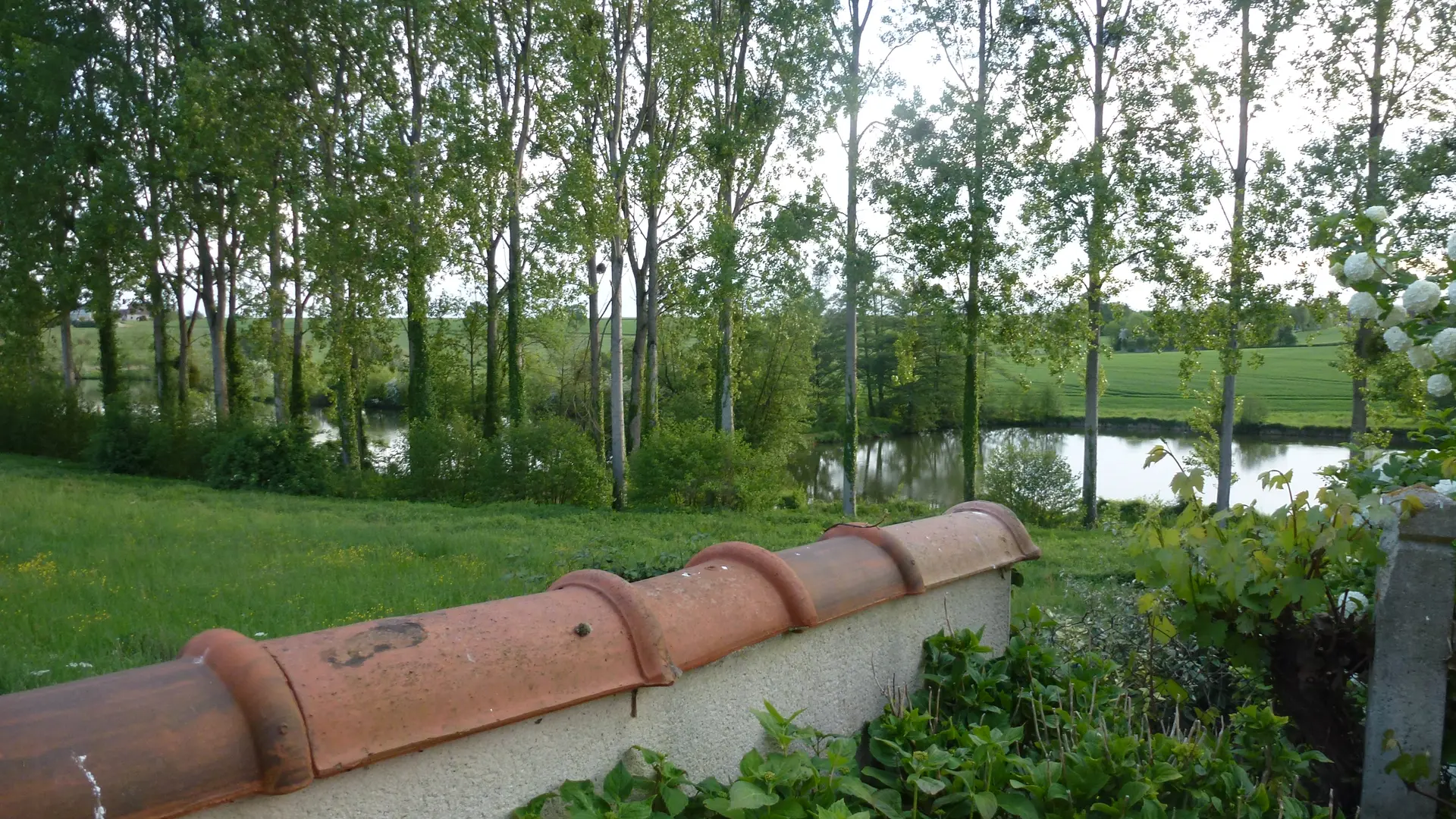 Meublé de Jupilles - Oisseau-le-Petit - vue sur l'étang