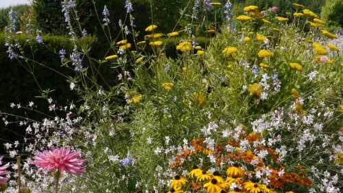 manoir-clairefontaine-24