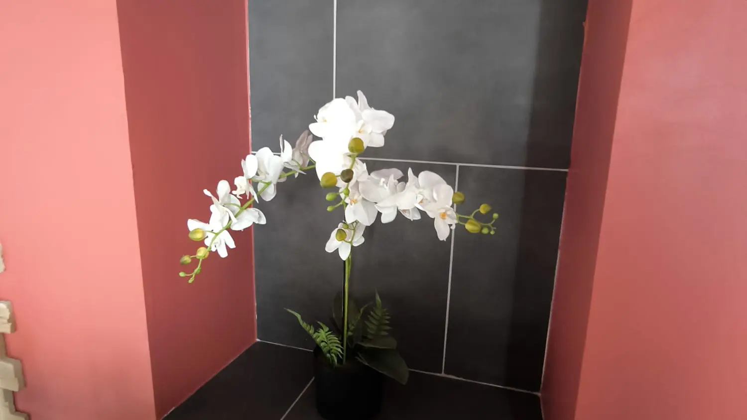 PHOTO-2026-02-27-12-15-53