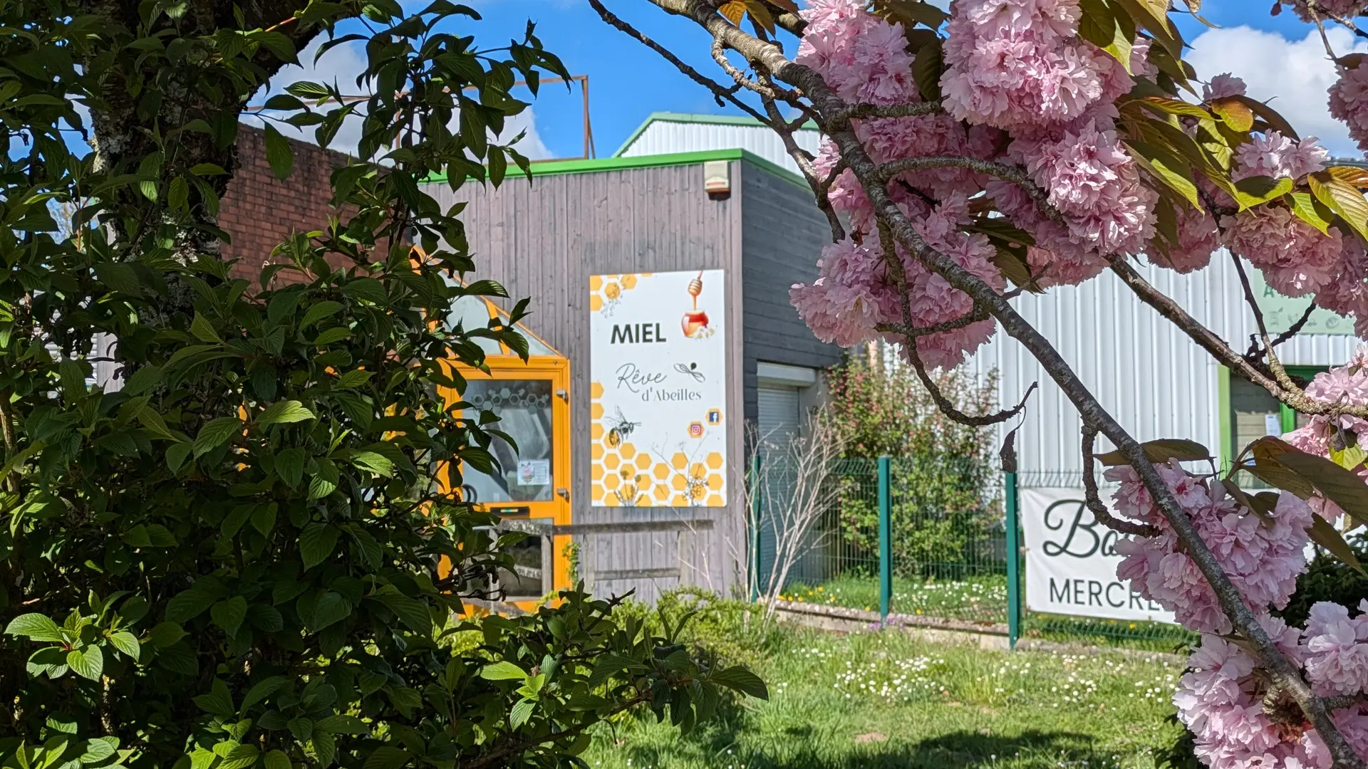 PXL_20250417_100152666