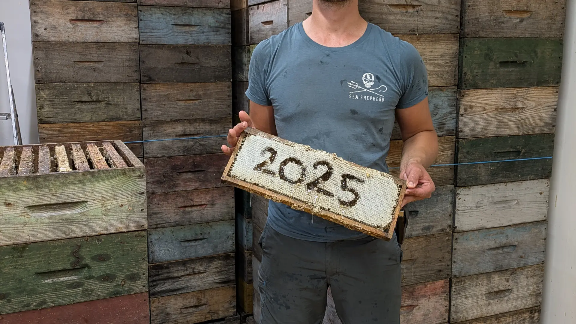 PXL_20250528_140751285