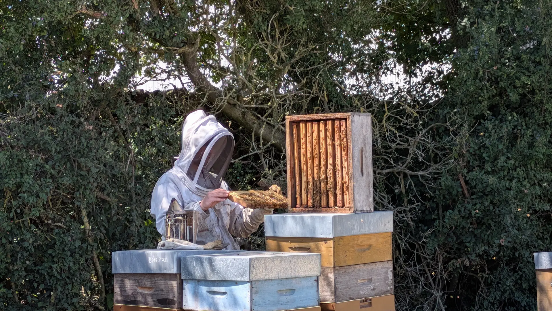 PXL_20250711_132303131