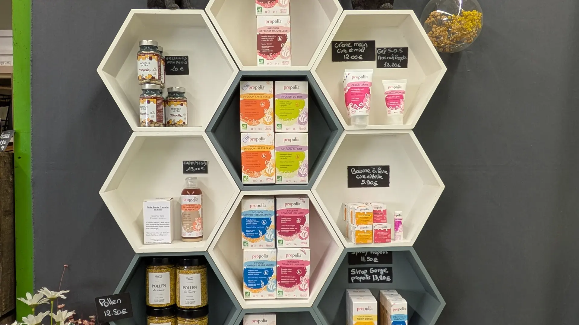 PXL_20250305_165542006