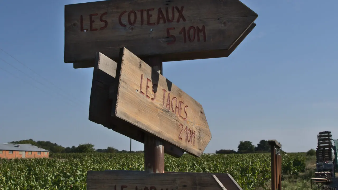 Panneau-VigneDomaineBrégeon