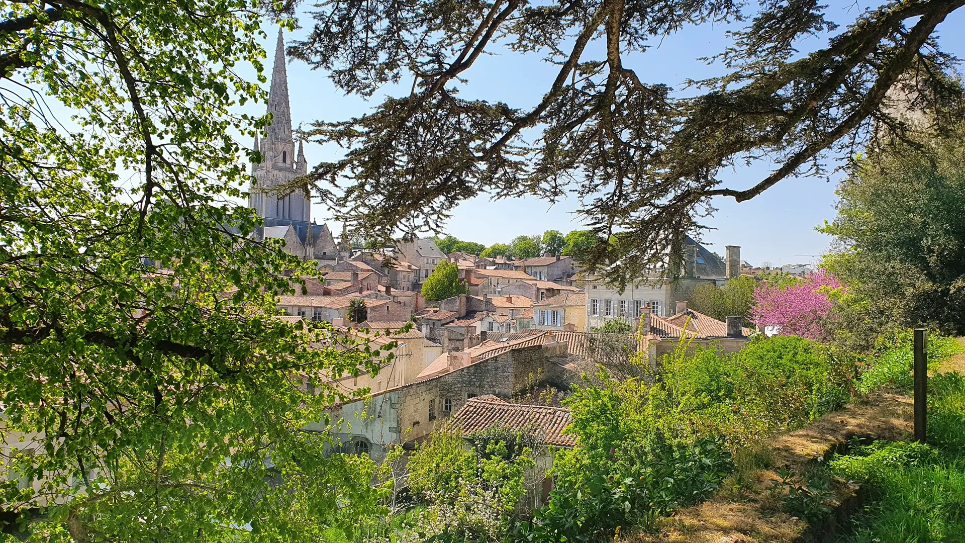 Parc Baron Fontenay-le-Comte 85-2